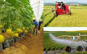 Đề án Vùng sản xuất nông nghiệp ứng dụng công nghệ cao tỉnh Tây Ninh