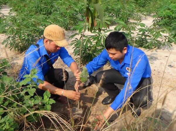 Sôi nổi các hoạt động kỷ niệm ngày sinh Chủ tịch Hồ Chí Minh 