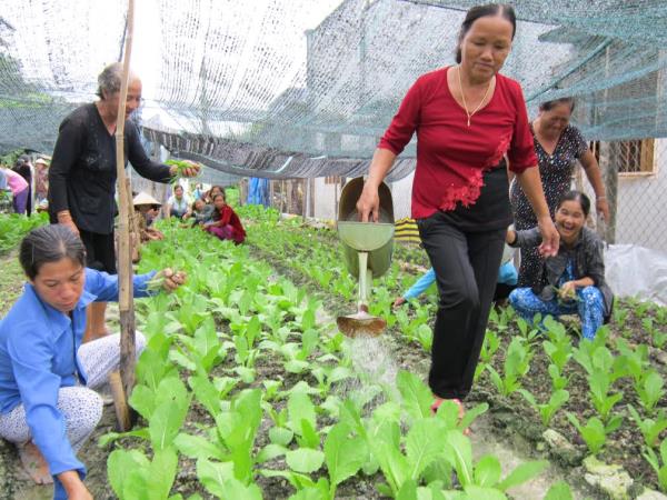 Tây Ninh: Nhìn lại sau 4 năm thực hiện Đề án Đào tạo nghề cho lao động nông thôn 