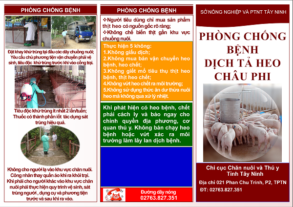 Hướng dẫn phòng chống bệnh dịch tả heo Châu Phi