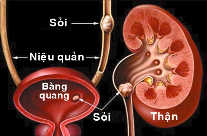 bai thuoc.jpg