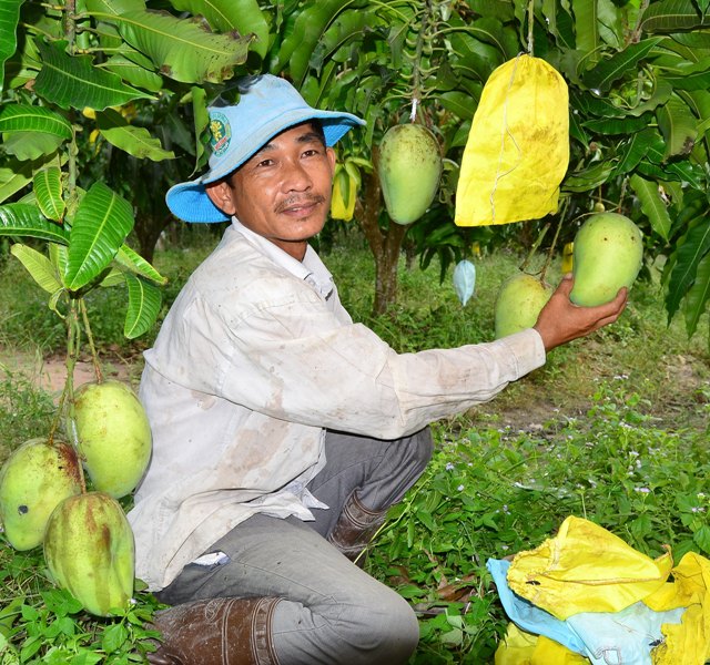 ca nuoc cung 3.jpg