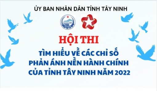 Khắc phục hạn chế các Chỉ số phản ánh nền hành chính của tỉnh