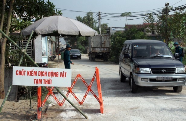 Tây Ninh thành lập các chốt kiểm dịch động vật tạm thời tại cửa ngõ giáp ranh với tỉnh Tây Ninh