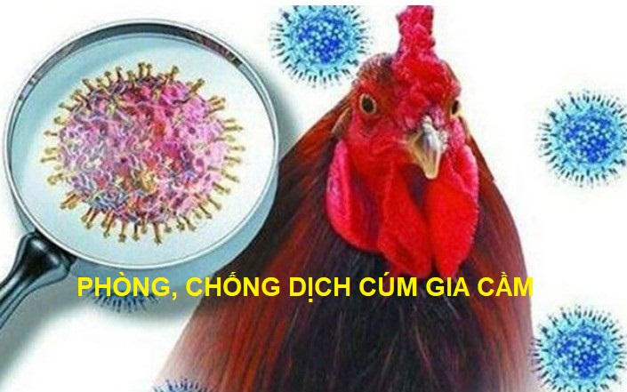 Tăng cường công tác phòng, chống cúm gia cầm