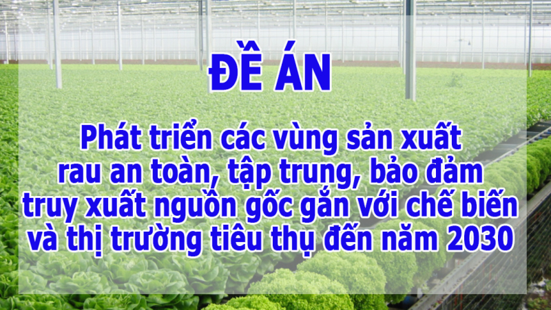 Đề án phát triển các vùng sản xuất rau an toàn tập trung đảm bảo truy xuất nguồn gốc gắn với chế biến và thị trường tiêu thụ đến năm 2030 trên địa bàn tỉnh Tây Ninh