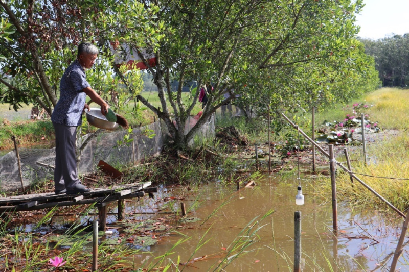 Tây Ninh đạt tỷ lệ cao các chỉ tiêu phát triển ngành Nông nghiệp và Phát triển nông thôn