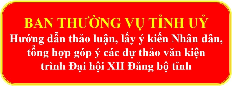 Hướng dẫn thảo luận, lấy ý kiến Nhân dân, tổng hợp góp ý các dự thảo văn kiện trình Đại hội XII Đảng bộ tỉnh