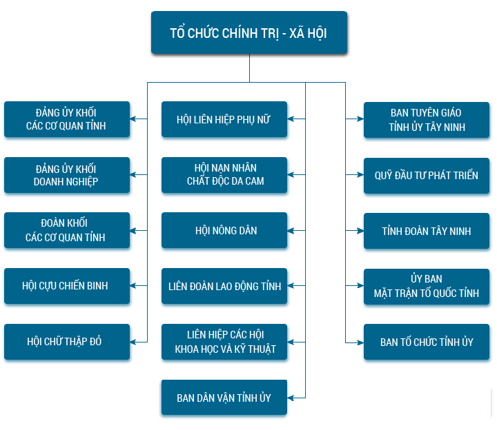 Tổ chức Chính trị - Xã hội