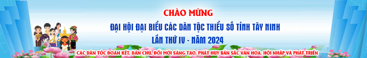 Đại hội đại biểu các dân tộc thiểu số