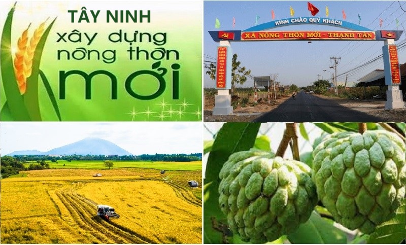 Đẩy mạnh phong trào thi đua “Tây Ninh chung sức xây dựng nông thôn mới” năm 2024