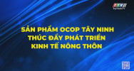 Sản phẩm OCOP Tây Ninh thúc đẩy phát triển kinh tế nông thôn