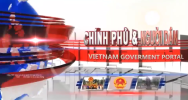 Thương mại điện tử và cơ hội mới cho start-up Việt